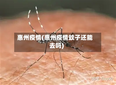 惠州疫情(惠州疫情蚊子还能去吗)
