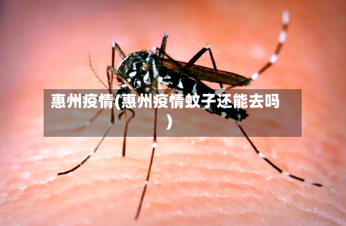 惠州疫情(惠州疫情蚊子还能去吗)-第3张图片