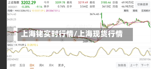 上海铑实时行情/上海现货行情