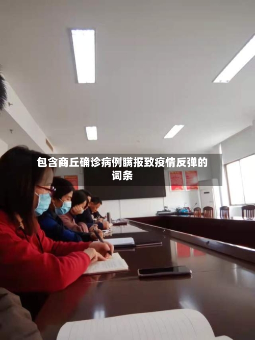 包含商丘确诊病例瞒报致疫情反弹的词条