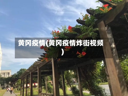 黄冈疫情(黄冈疫情炸街视频)