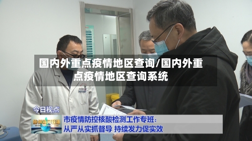 国内外重点疫情地区查询/国内外重点疫情地区查询系统