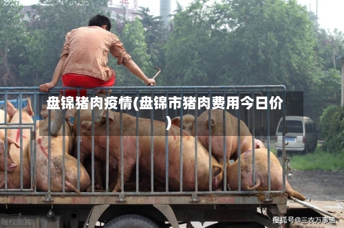 盘锦猪肉疫情(盘锦市猪肉费用今日价)-第2张图片