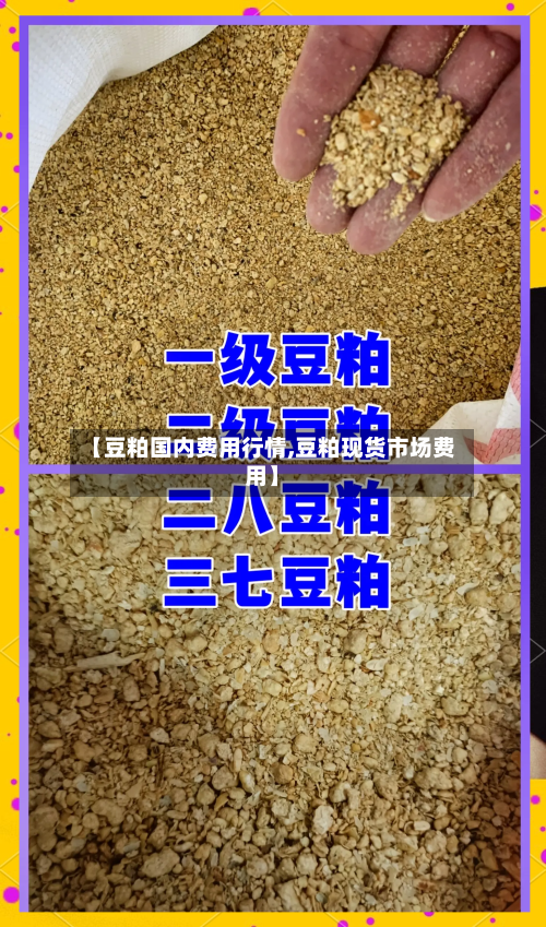 【豆粕国内费用行情,豆粕现货市场费用】
