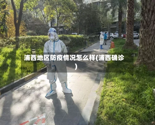 浦西地区防疫情况怎么样(浦西确诊)-第2张图片