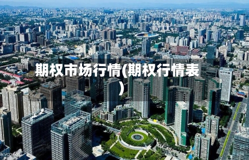 期权市场行情(期权行情表)