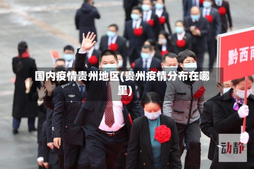 国内疫情贵州地区(贵州疫情分布在哪里)
