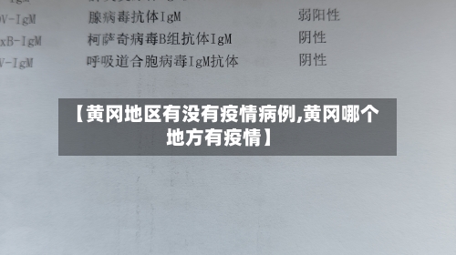 【黄冈地区有没有疫情病例,黄冈哪个地方有疫情】