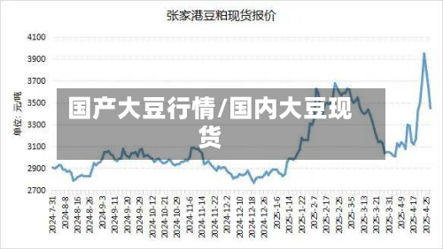 国产大豆行情/国内大豆现货