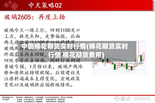中国棉花期货实时行情(棉花期货实时行情 棉花期货费用)