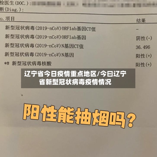 辽宁省今日疫情重点地区/今曰辽宁省新型冠状病毒疫情情况