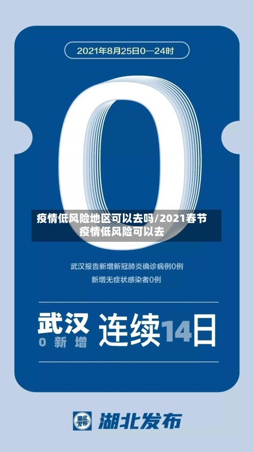疫情低风险地区可以去吗/2021春节疫情低风险可以去