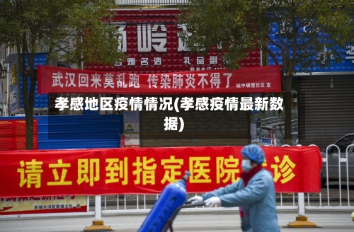 孝感地区疫情情况(孝感疫情最新数据)-第1张图片