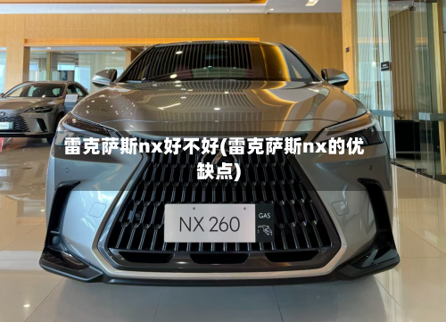 雷克萨斯nx好不好(雷克萨斯nx的优缺点)-第2张图片