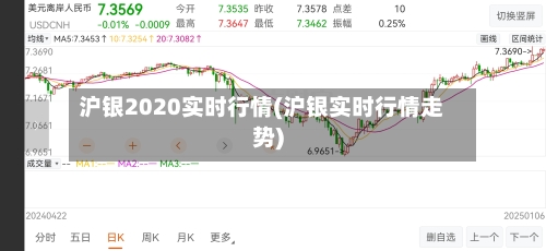 沪银2020实时行情(沪银实时行情走势)