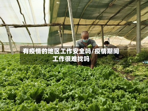 有疫情的地区工作安全吗/疫情期间工作很难找吗