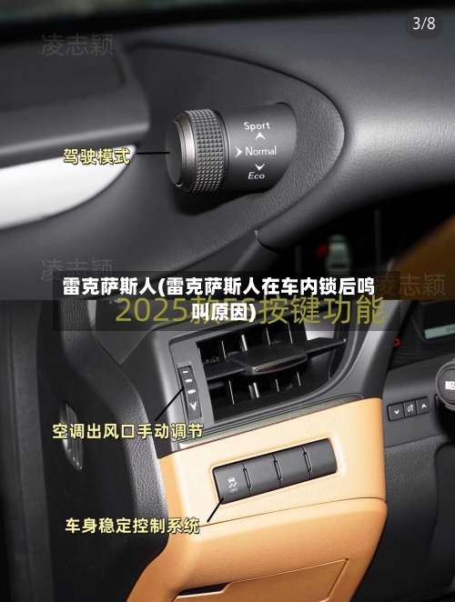 雷克萨斯人(雷克萨斯人在车内锁后鸣叫原因)