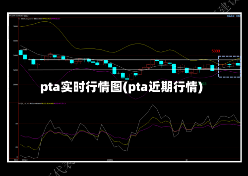 pta实时行情图(pta近期行情)