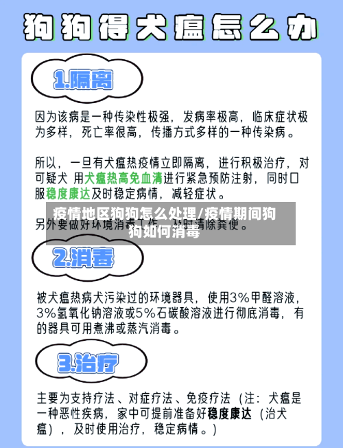 疫情地区狗狗怎么处理/疫情期间狗狗如何消毒