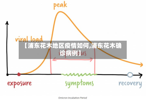 【浦东花木地区疫情如何,浦东花木确诊病例】