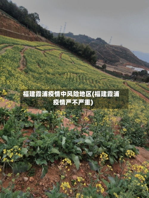 福建霞浦疫情中风险地区(福建霞浦疫情严不严重)-第3张图片