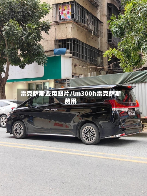 雷克萨斯费用图片/lm300h雷克萨斯费用