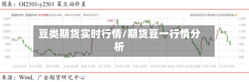 豆类期货实时行情/期货豆一行情分析