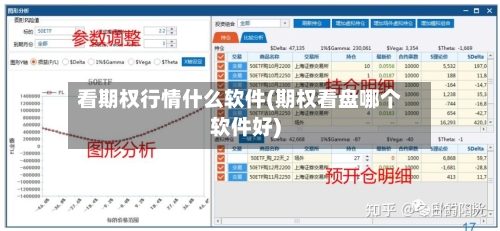 看期权行情什么软件(期权看盘哪个软件好)
