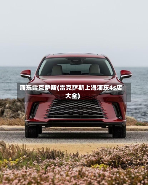 浦东雷克萨斯(雷克萨斯上海浦东4s店大全)