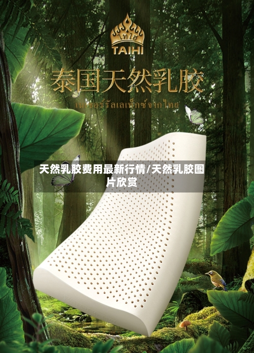 天然乳胶费用最新行情/天然乳胶图片欣赏