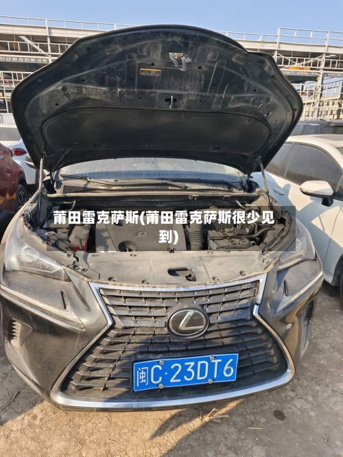莆田雷克萨斯(莆田雷克萨斯很少见到)-第3张图片