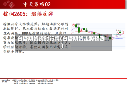 白糖期货货时行情(白糖期货走势预测)