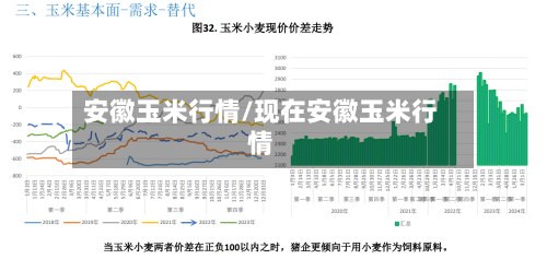 安徽玉米行情/现在安徽玉米行情-第2张图片