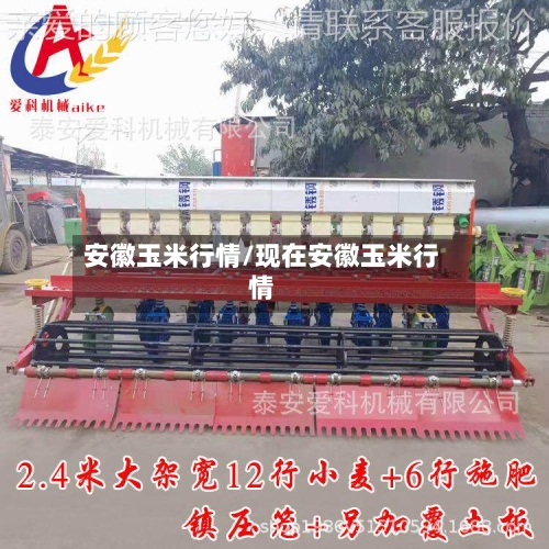安徽玉米行情/现在安徽玉米行情-第3张图片