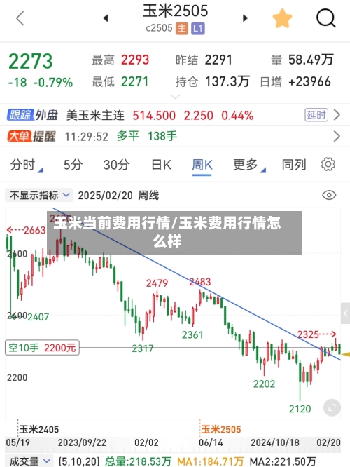 玉米当前费用行情/玉米费用行情怎么样
