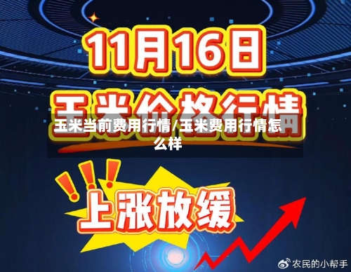 玉米当前费用行情/玉米费用行情怎么样-第3张图片