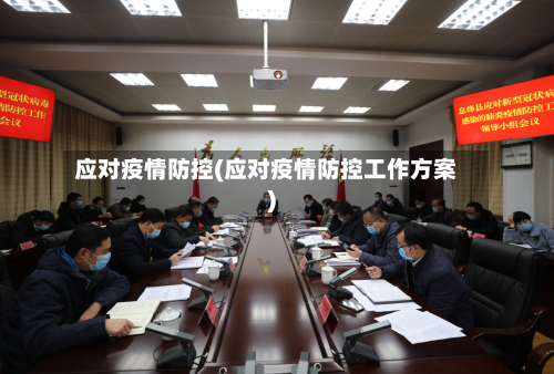 应对疫情防控(应对疫情防控工作方案)
