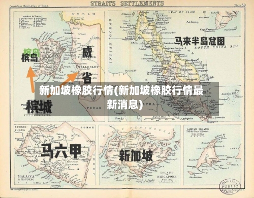 新加坡橡胶行情(新加坡橡胶行情最新消息)