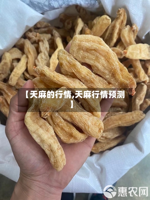 【天麻的行情,天麻行情预测】-第3张图片