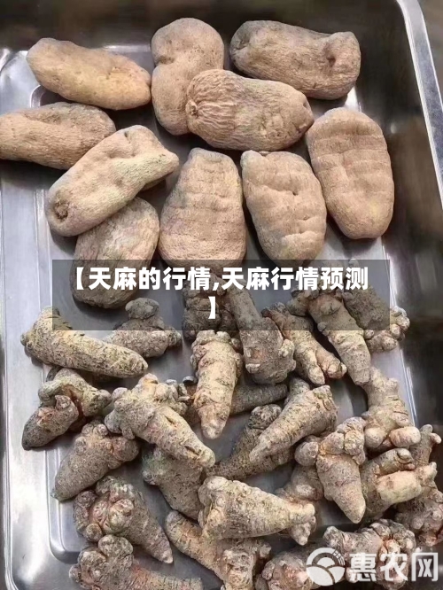 【天麻的行情,天麻行情预测】-第2张图片