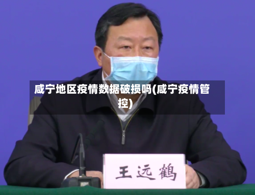 咸宁地区疫情数据破损吗(咸宁疫情管控)