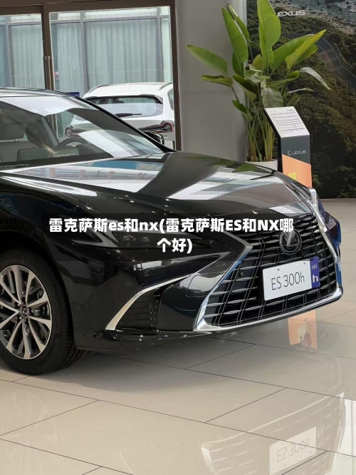 雷克萨斯es和nx(雷克萨斯ES和NX哪个好)