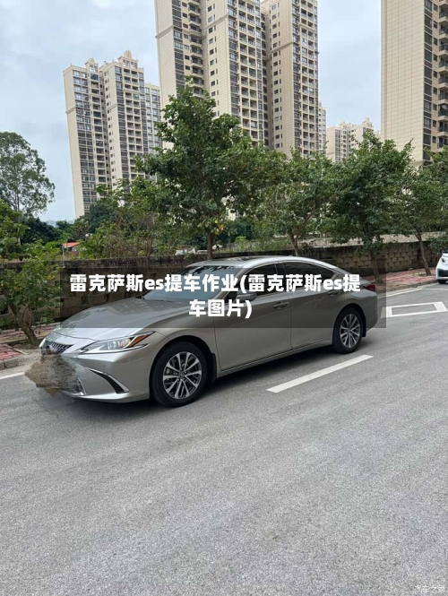 雷克萨斯es提车作业(雷克萨斯es提车图片)