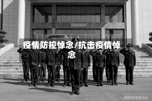 疫情防控悼念/抗击疫情悼念