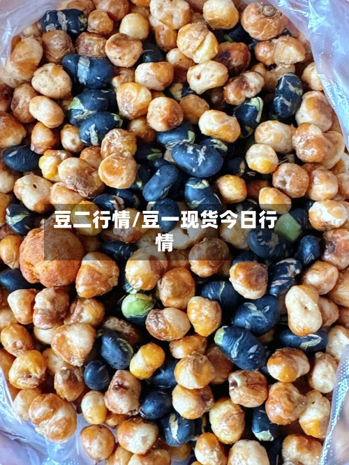 豆二行情/豆一现货今日行情