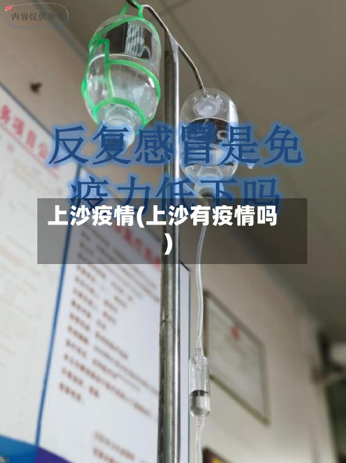 上沙疫情(上沙有疫情吗)