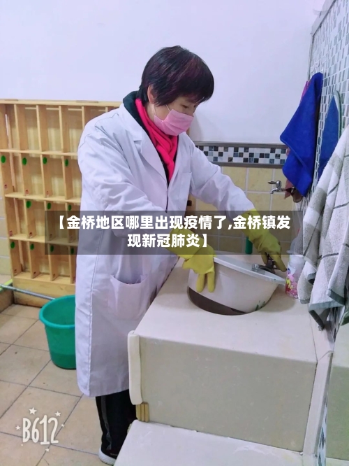 【金桥地区哪里出现疫情了,金桥镇发现新冠肺炎】-第2张图片