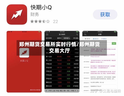 郑州期货交易所实时行情/郑州期货交易大厅