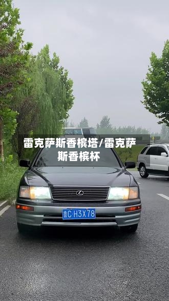 雷克萨斯香槟塔/雷克萨斯香槟杯-第2张图片