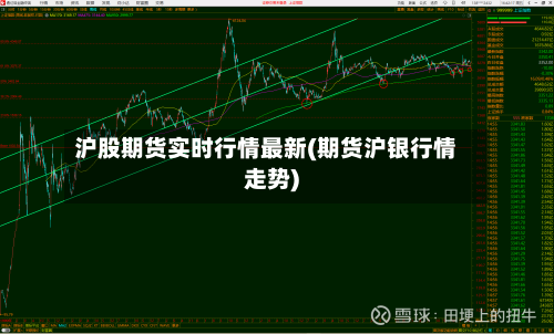 沪股期货实时行情最新(期货沪银行情走势)